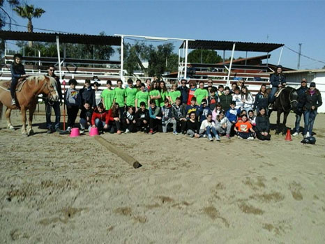 The Schools and us